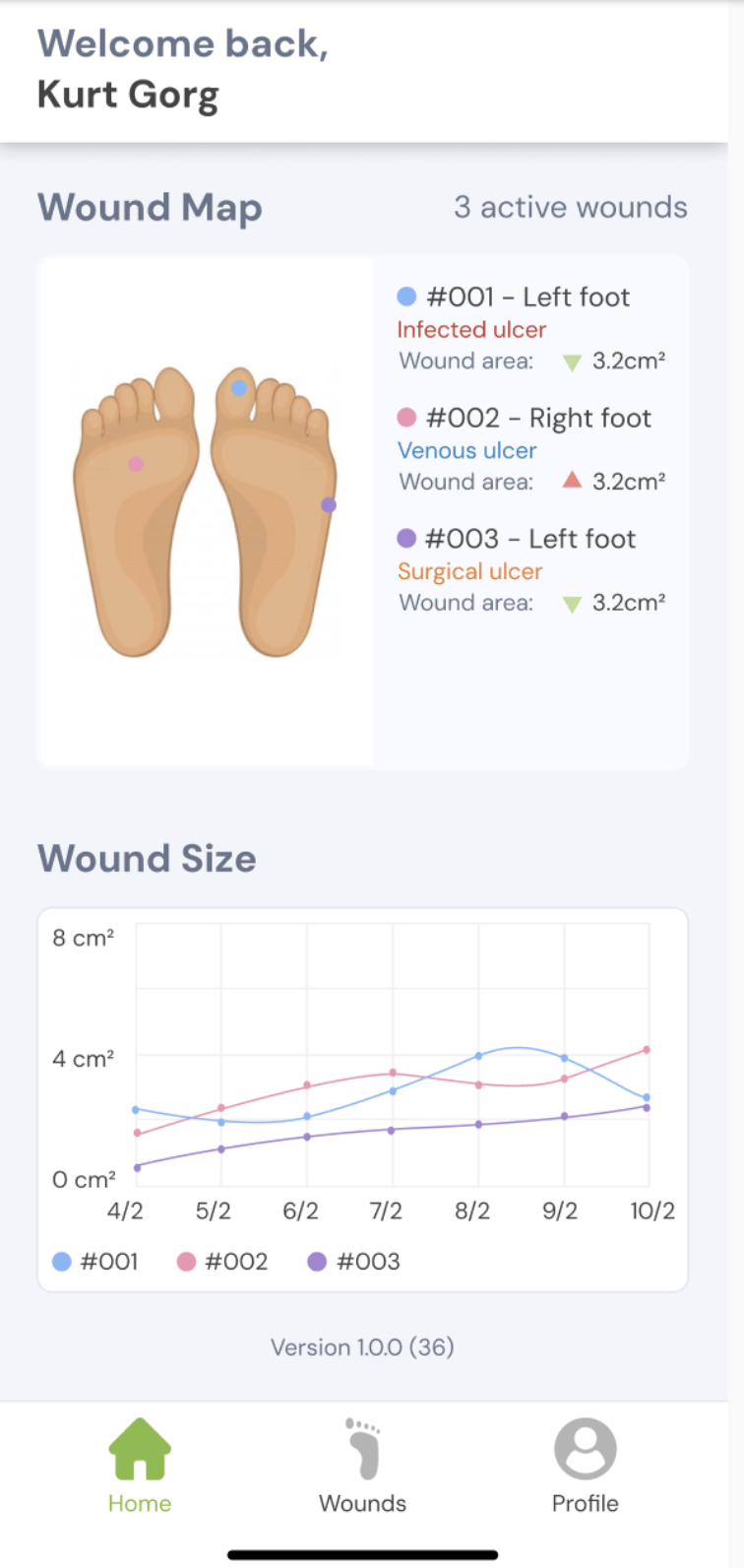 Patient Overview Screen